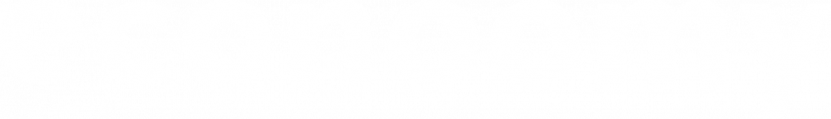 logo-white-transparent econoomy logo ausgeschrieben in transparenter Optik